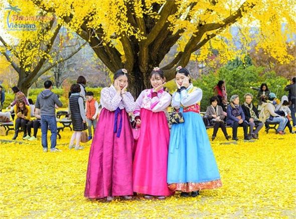 Du lịch Hàn Quốc 6N5Đ: Seoul - Jeju - Everland - Nami (Bay KH 5 SAO) Du lịch Hàn Quốc 6N5Đ: Seoul - Jeju - Everland - Nami (Bay KH 5 SAO)